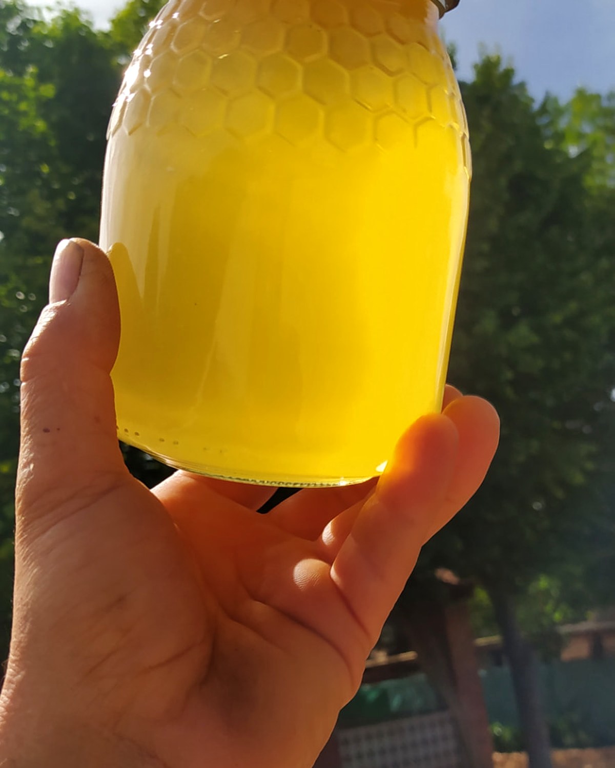Tarro de miel a contraluz en la mano